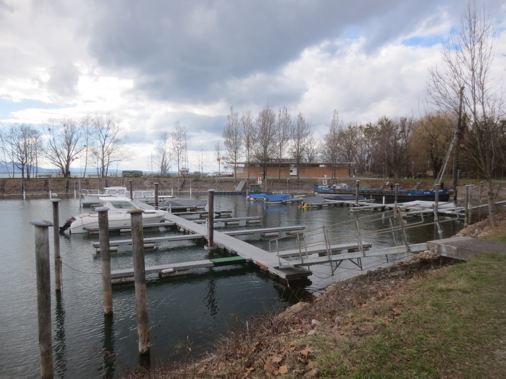 AA Hafen Holzdalben NEU _6__jpg-1364068498
