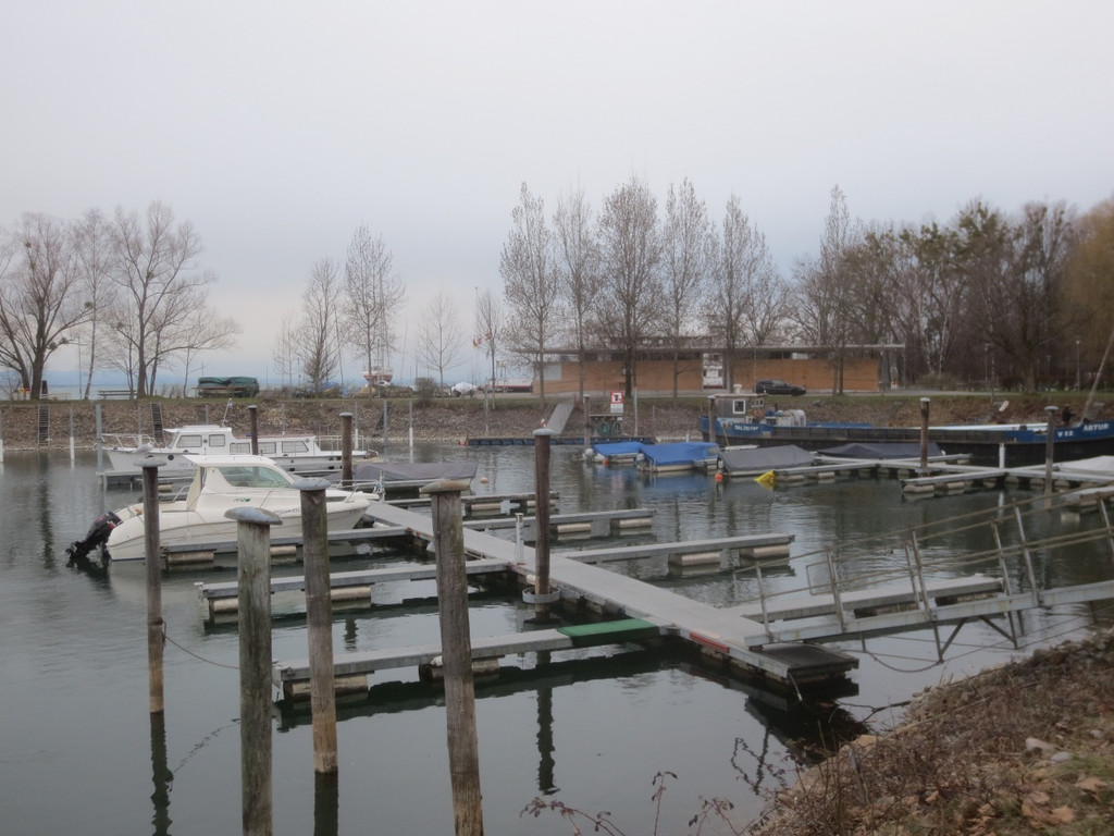 AA Hafen Holzdalben NEU _8__jpg-1364068505