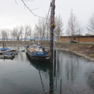 AA Hafen Holzdalben NEU _13__jpg-1364068524
