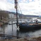 AA Hafen Holzdalben NEU _19__jpg-1364068546