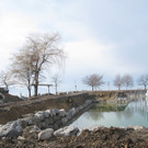 Archiv Hafen _7__jpg-1364068576