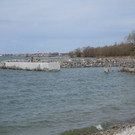 Archiv Hafen _14__jpg-1364068605