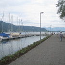 Archiv Hafen _25__jpg-1364068655