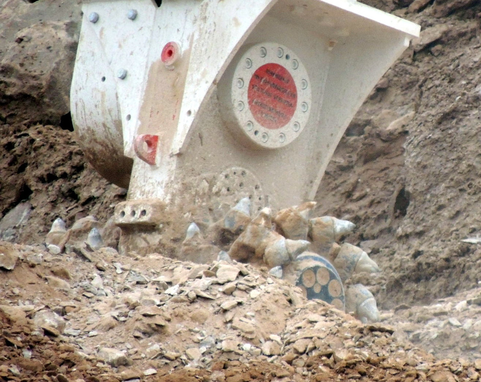 DSCN6641_JPG-1364079345