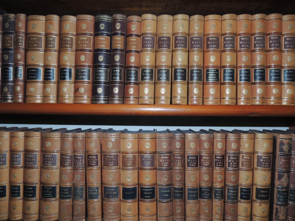 DSCN5929_JPG-1364116111