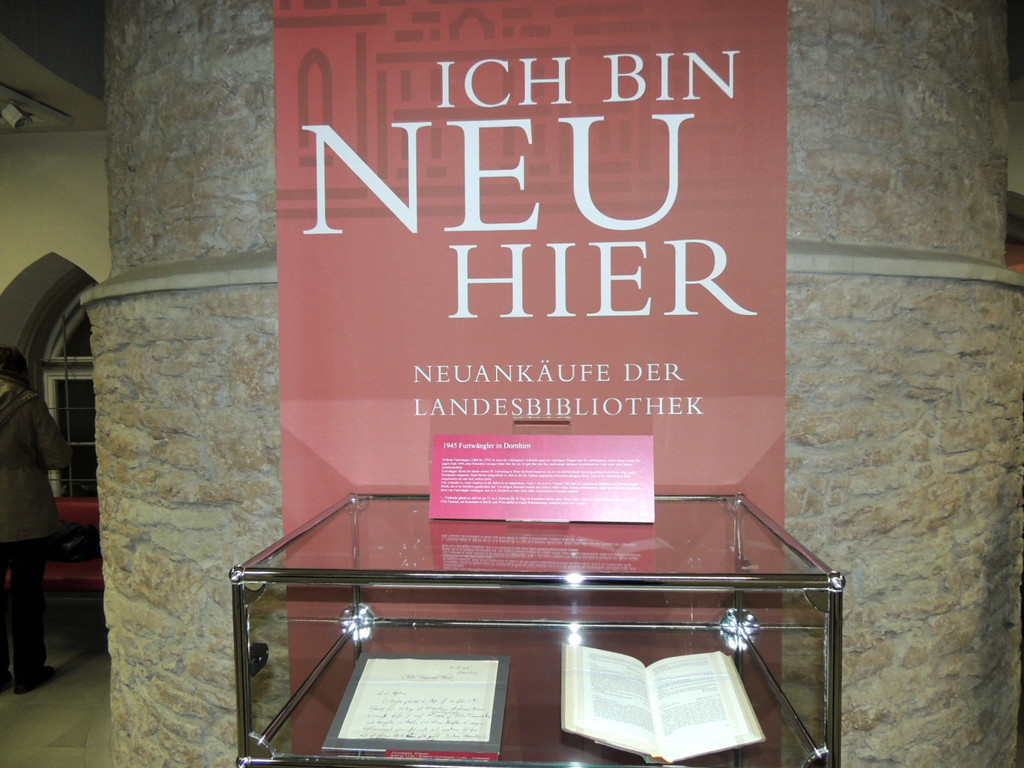 DSCN5985_JPG-1364116263