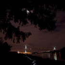 bd83588cf67b4644a735558657988f98-bd83588cf67b4644a735558657988f98-0.jpg