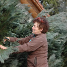Palmbuschen binden in Hörbranz