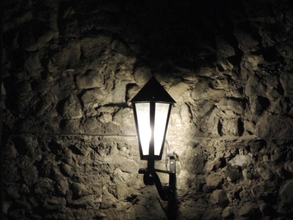 DSCN8286_JPG-1364131937