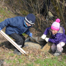 Landschaftsreinigung 161.JPG