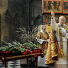 ABD0037-20130324.jpg