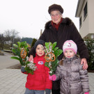 Palmsonntag