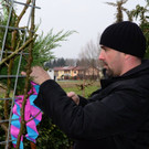 Palmbinden36.JPG