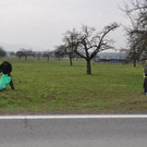 DSC_0012_JPG-1364150982