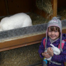 Osterhase