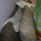 bild-31431.jpg