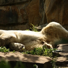 Juni-2009_0635.jpg