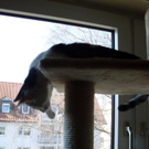 SDC10418.jpg