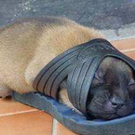 schuh.jpg