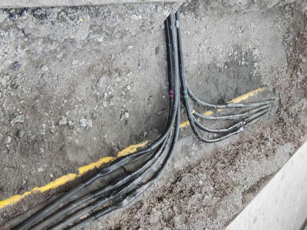 DSCN7498_JPG-1364199911