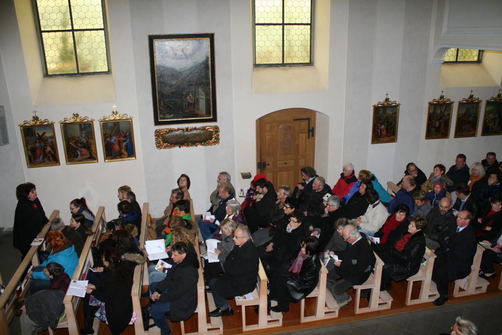 IMG_5529_JPG-1364199209