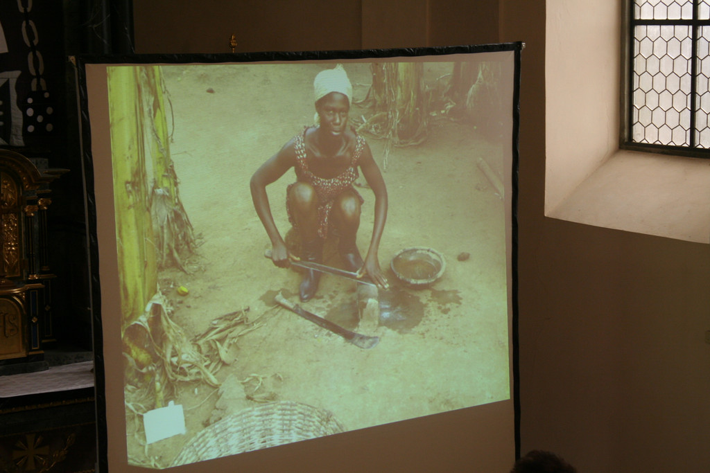 IMG_5538_JPG-1364199241