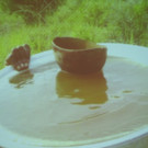 IMG_5616_JPG-1364199848