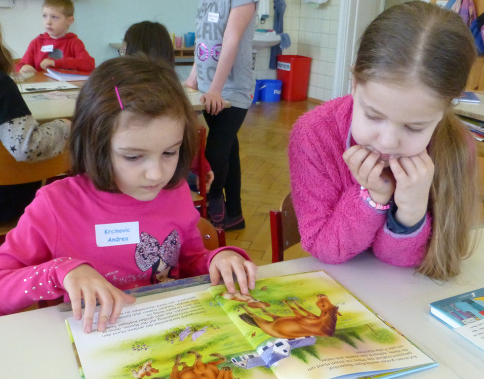 Lesen13aBilderbuch_jpg-1364206928