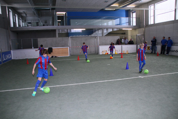 IMG_1908_jpg-1364207145