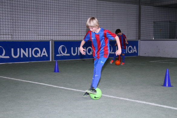 IMG_1912_jpg-1364207159