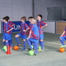 IMG_2075_jpg-1364207529