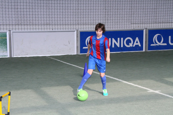 IMG_2082_jpg-1364207578