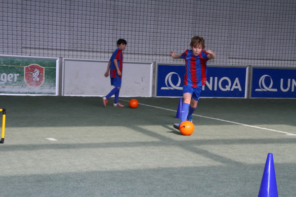 IMG_2091_jpg-1364207588