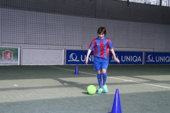 IMG_2096_jpg-1364207613