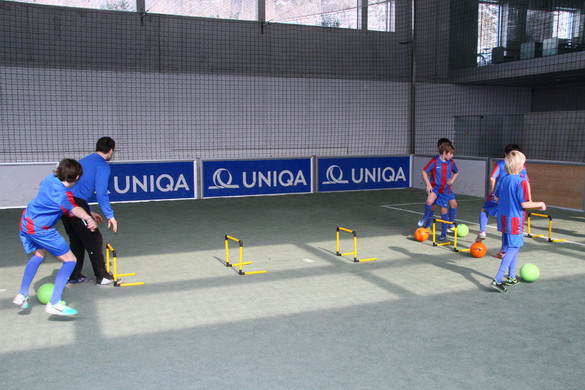 IMG_2100_jpg-1364207672