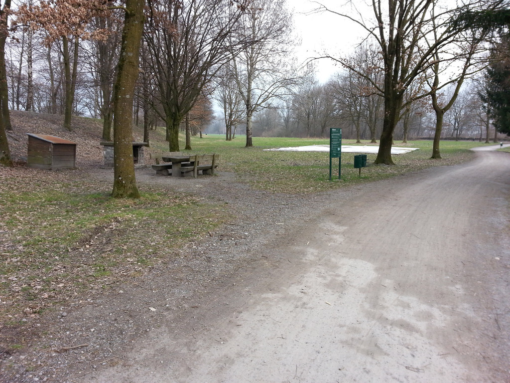 1alter Rhein _2__jpg-1364210773