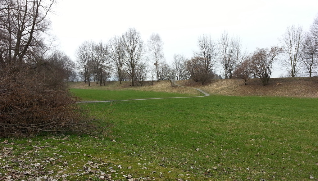 20130323_170324_jpg-1364210801