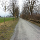 20130323_170329_jpg-1364210838
