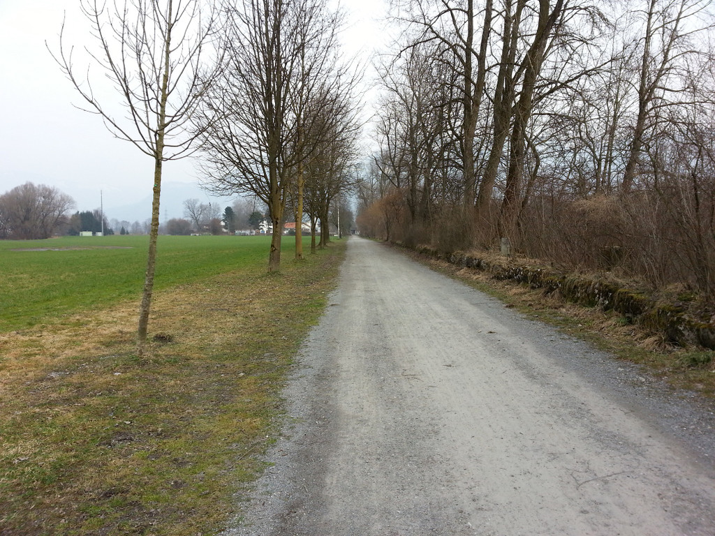 20130323_170329_jpg-1364210838