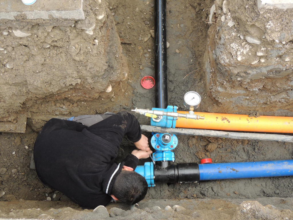 DSCN7096_JPG-1364219104