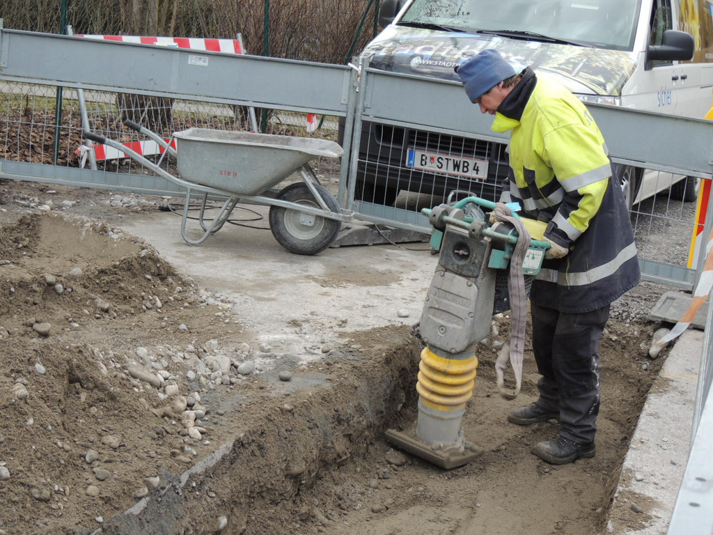 DSCN7103_JPG-1364219120