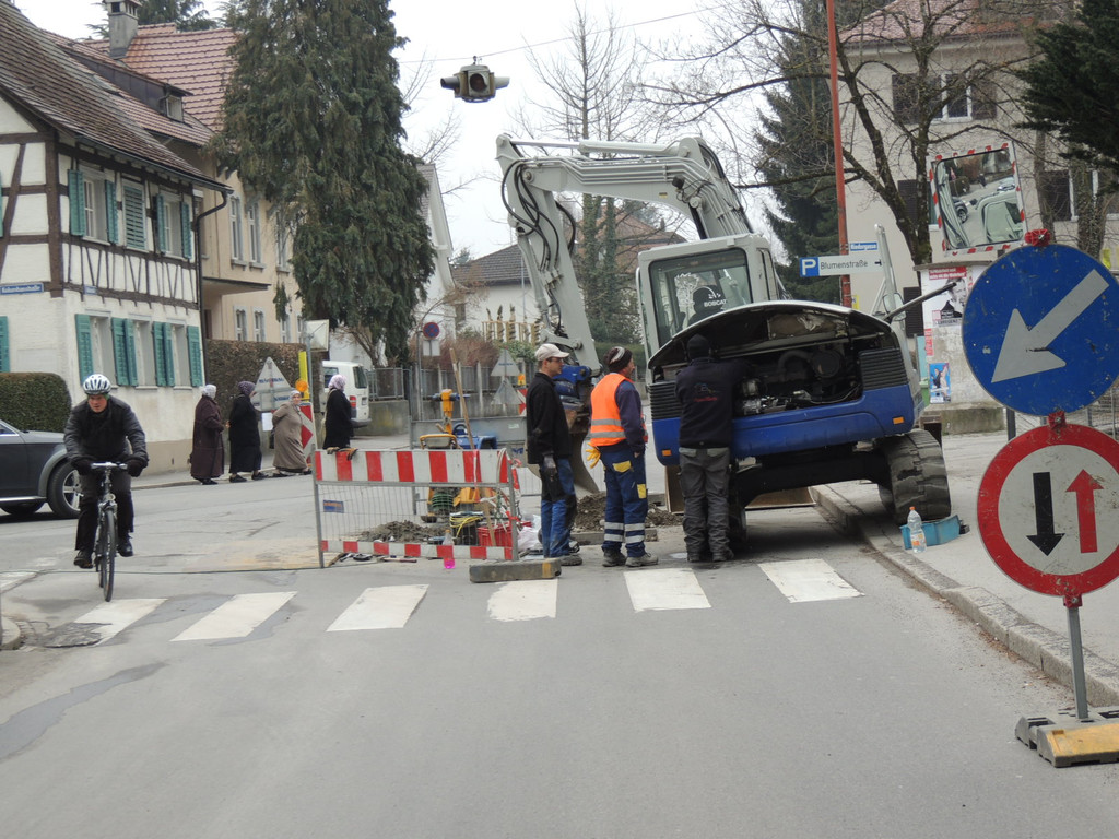 DSCN8691_JPG-1364219428