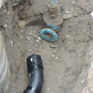 DSCN8694_JPG-1364219440