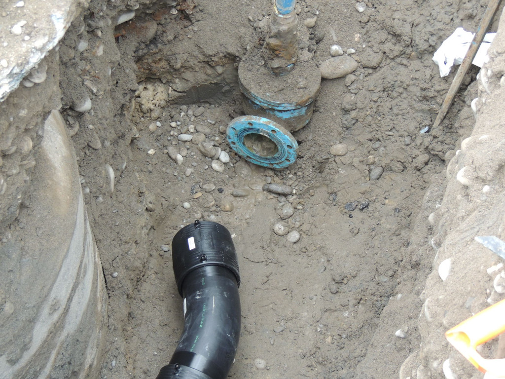 DSCN8694_JPG-1364219440