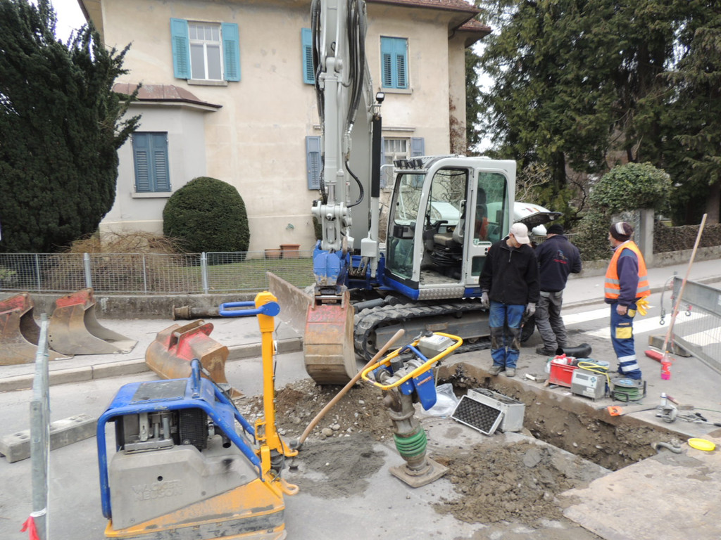 DSCN8696_JPG-1364219448