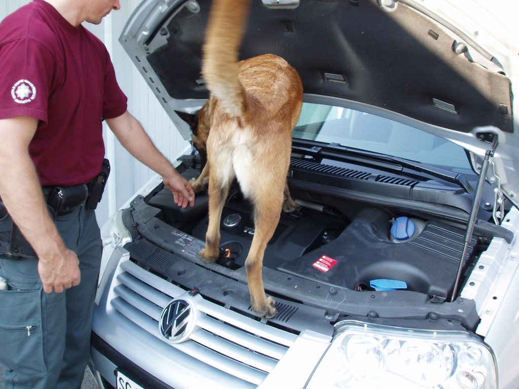 Bet__ubungsmittelshund_jpg-1364237602