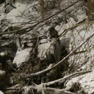DSC_0000.jpg