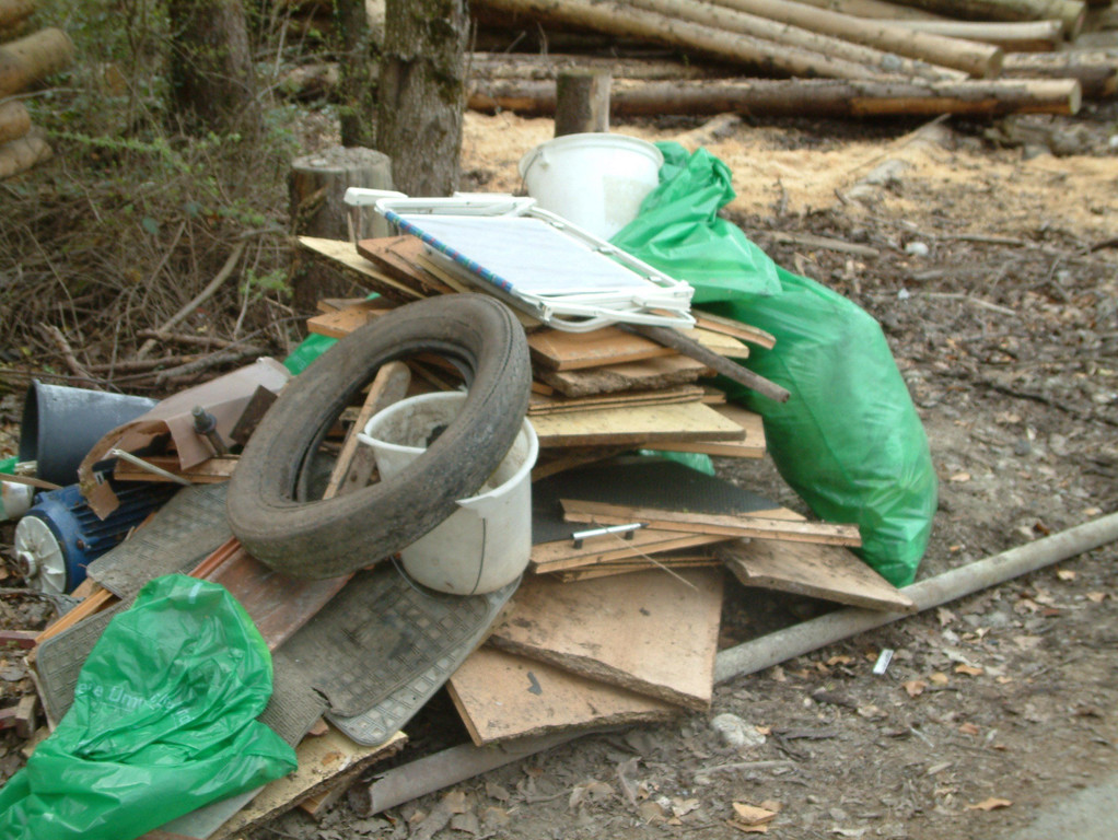 DSCF0006.JPG