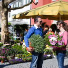 120421Bludenz005.jpg