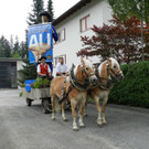 BZM Krumbach 2012 011.JPG